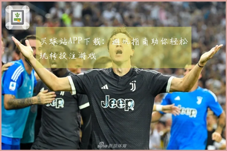 买球站APP下载：避坑指南助你轻松玩转投注游戏