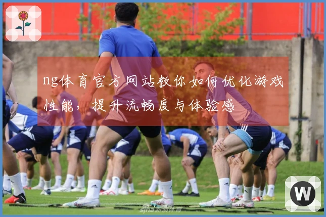 ng体育官方网站教你如何优化游戏性能，提升流畅度与体验感
