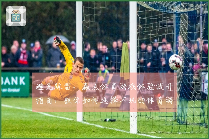 避免踩雷，赢点体育游戏体验提升指南，教你如何选择不坑的体育游戏平台